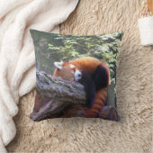 スリーピングレッドパンダ クッション (ブランケット)