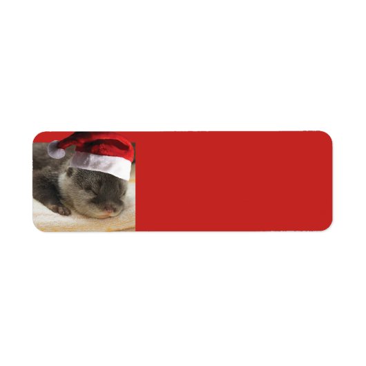 スリーピーオッタサンタクロース ラベル (正面)