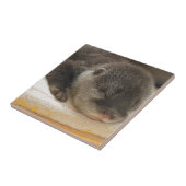 スリーピーオッター タイル (側面)