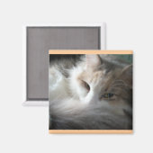 スリーピーカリコ マグネット (正面/裏面)