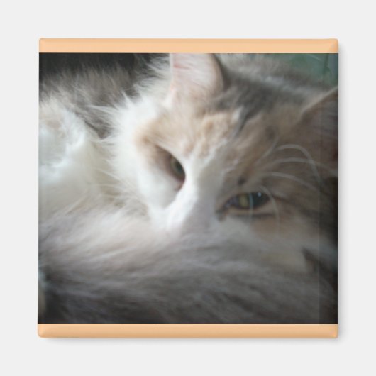 スリーピーカリコ マグネット (正面)