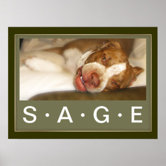 スリーピーガールポスター ポスター