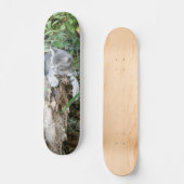 スリーピーキットンスケートボード スケートボード (正面)