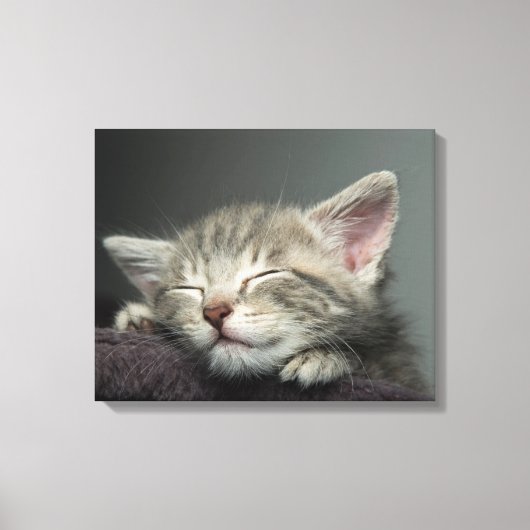 スリーピーキットン キャンバスプリント (正面)