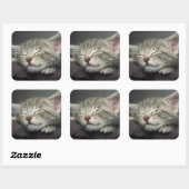 スリーピーキットン スクエアシール (シート)