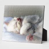 スリーピーキットン フォトプラーク (側面)