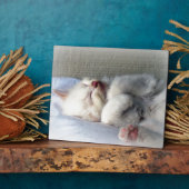 スリーピーキットン フォトプラーク (側面)