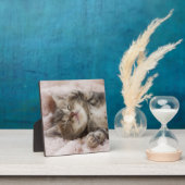 スリーピーキットン フォトプラーク (インサイチュ)