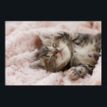 スリーピーキットン ポスター<br><div class="desc">タオルで眠る子猫</div>