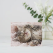 スリーピーキットン ポストカード (スタンド正面)