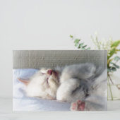 スリーピーキットン 便箋 (スタンド正面)