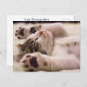 スリーピーキットン |前足を伸ばす ポストカード (正面/裏面)