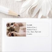 スリーピーキットン |前足を伸ばす ラベル (インサイチュ)