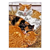 スリーピーキャッツすべての行事空白の挨拶 (正面)