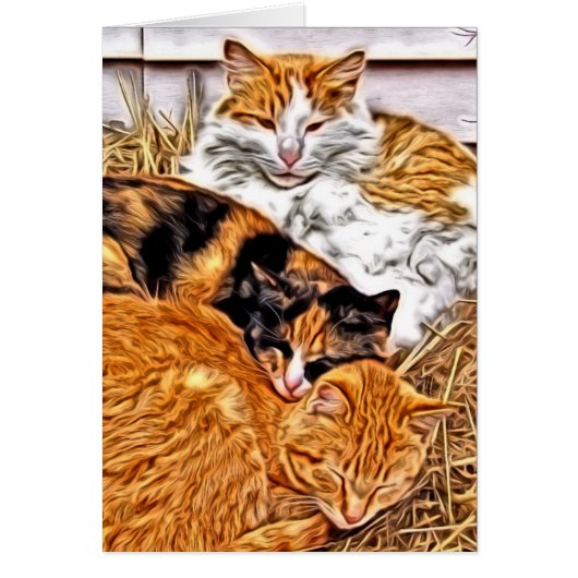 スリーピーキャッツすべての行事空白の挨拶 (正面)