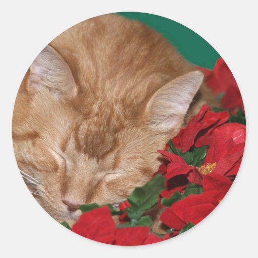 スリーピークリスマス子猫 ラウンドシール (正面)