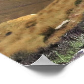 スリーピーケア ポスター (角)