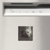 スリーピーケイランテリア磁石 マグネット (インサイチュ (食洗機))