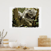 スリーピーコアラス ポスター (キッチン)