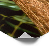 スリーピーコアラ ポスター (角)