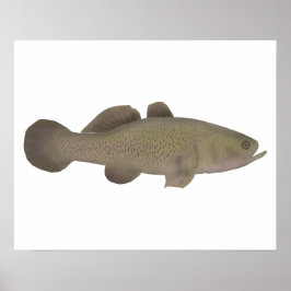 スリーピーコッド ポスター