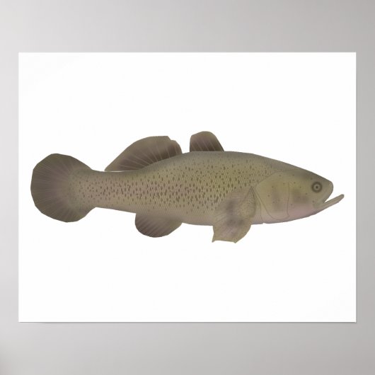 スリーピーコッド ポスター (正面)