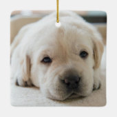 スリーピーゴールデンラブラドールパピー セラミックオーナメント (裏面)