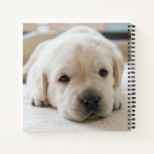 スリーピーゴールデンラブラドール子犬 ノートブック (裏面)