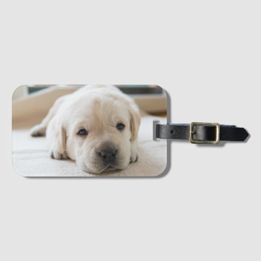 スリーピーゴールデンラブラドール子犬 ラゲッジタグ (正面横)