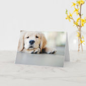 スリーピーゴールデンリトリーバーワンピー カード (黄色い花)