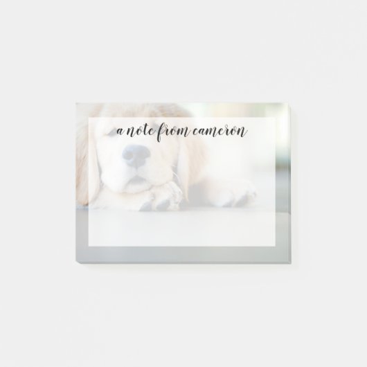 スリーピーゴールデンリトリーバーワンピー ポストイット (正面)