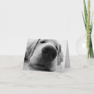 スリーピーゴールデン カード