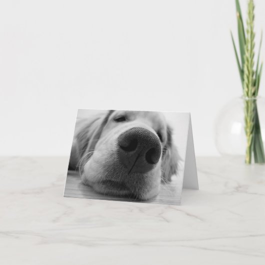 スリーピーゴールデン カード (正面)