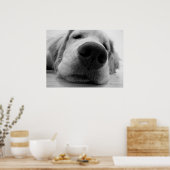 スリーピーゴールデン ポスター (キッチン)