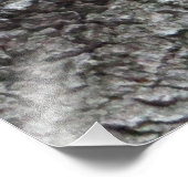 スリーピースリャルフォトプリント フォトプリント            (角)