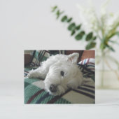 スリーピーソファウェスティフォトポストカード ポストカード (スタンド正面)