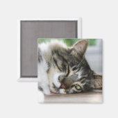 スリーピーゾロ磁石 マグネット (正面/裏面)