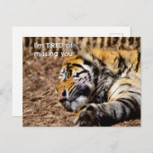 スリーピータイガー葉書 ポストカード (正面/裏面)
