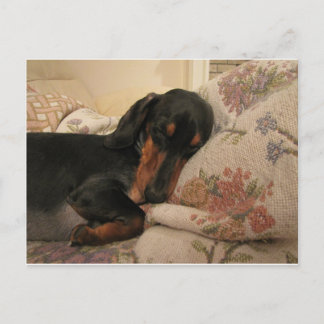 スリーピータイムポストカード ポストカード