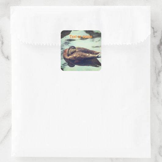 スリーピーダックパーソナライズされた自然  スクエアシール (バッグ)