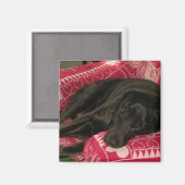 スリーピードグマグネット マグネット (正面/裏面)