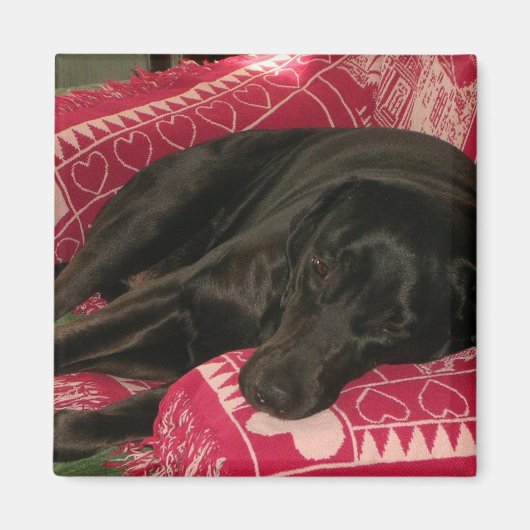 スリーピードグマグネット マグネット (正面)