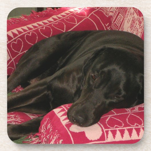 スリーピードッグコースター – 6のセット コースター (正面)