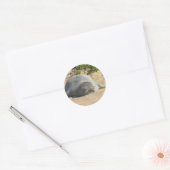 スリーピーハワイアンモンクシール ラウンドシール (封筒)