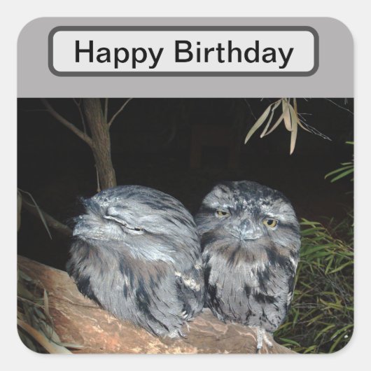 スリーピーフログマスフール誕生日 スクエアシール (正面)