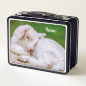 スリーピーベビーヤギ メタルランチボックス (裏面)