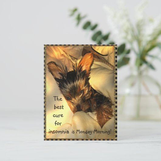 スリーピーヨークシャーテリアカスタマイズ可能はがき ポストカード (スタンド正面)