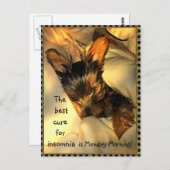 スリーピーヨークシャーテリアカスタマイズ可能はがき ポストカード (正面/裏面)