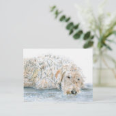 スリーピーラブラドルはがき ポストカード (スタンド正面)