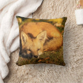 スリーピーリトルキツネ クッション (ブランケット)